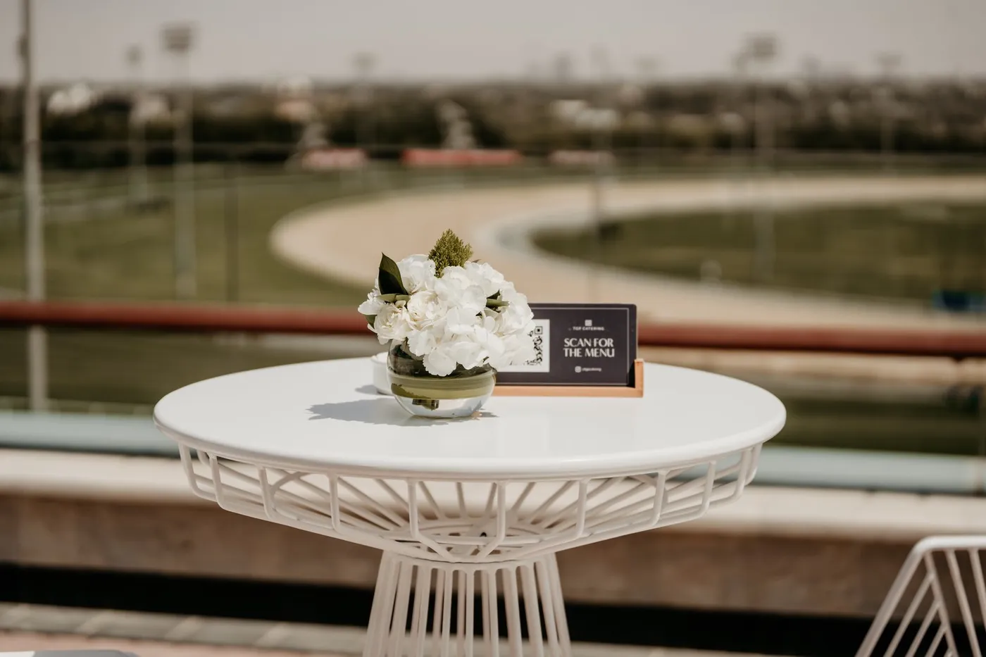 Dubai World Cup
